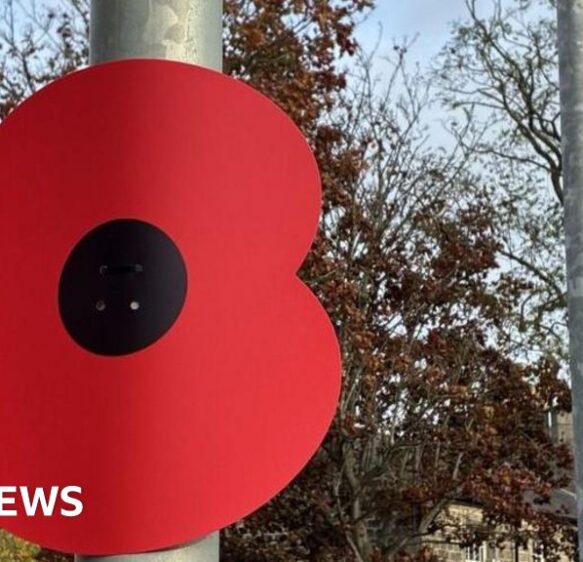 ‘A thousand poppies’ and ‘Lego robot hand’