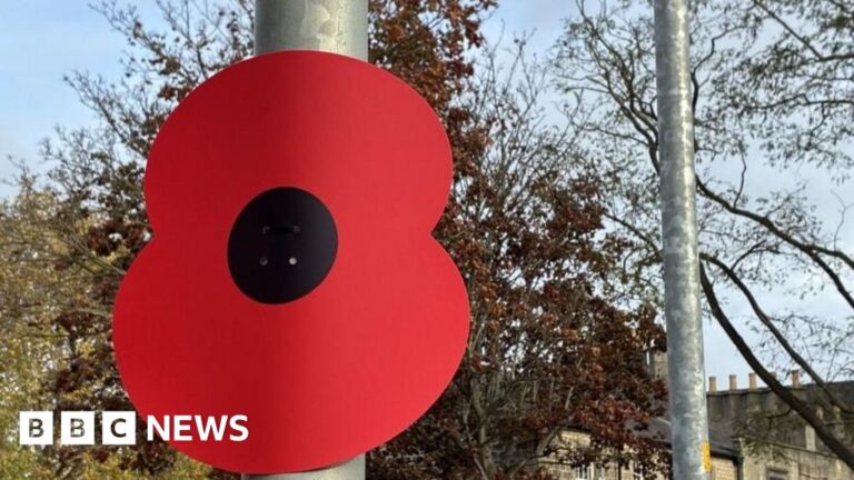 Read more about the article ‘A thousand poppies’ and ‘Lego robot hand’