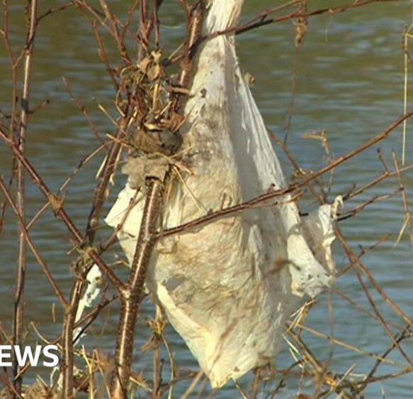 Wessex Water agrees £11m package to cut sewage spills