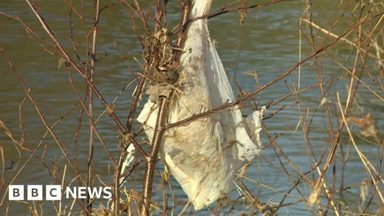 Read more about the article Wessex Water agrees £11m package to cut sewage spills