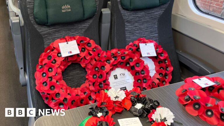 Read more about the article 'Poppies to Paddington' and 'world's smallest pony'