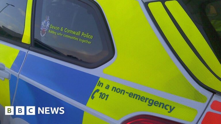 Read more about the article Woman injured in car crash into bridge on Dartmoor
