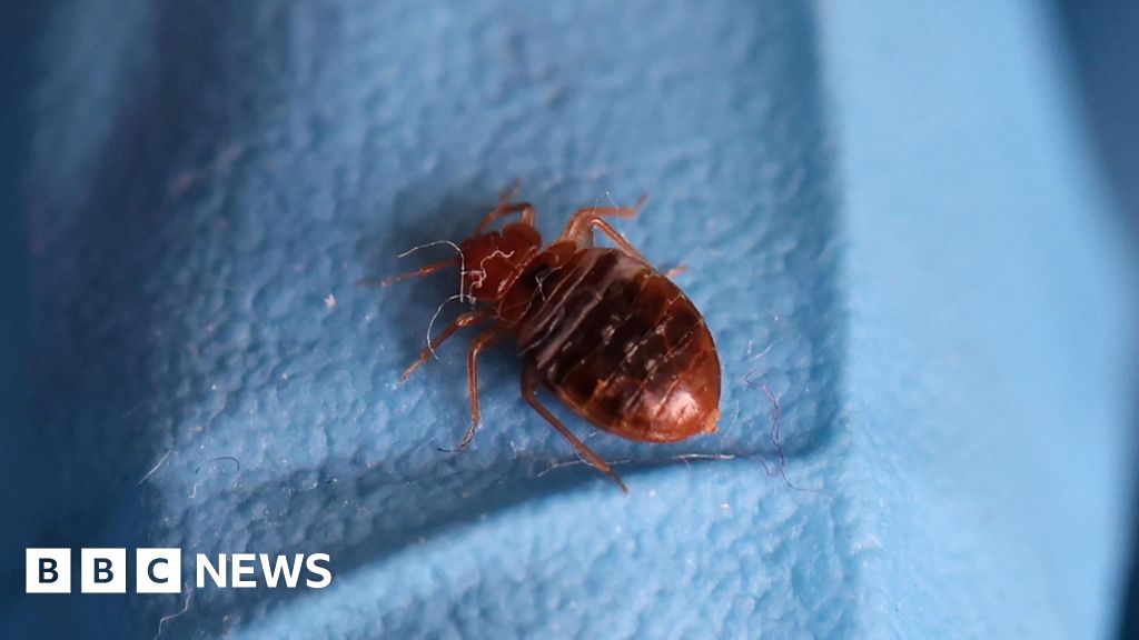 You are currently viewing 'Bed bug infestation' and 'concert headliner'