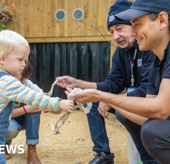 ‘New tropical house’ and ‘nomadic litterpickers’