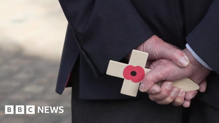 Read more about the article Cornwall services held to commemorate Remembrance Sunday