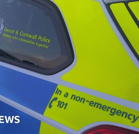 Appeal after serious sexual assault in Sidmouth park