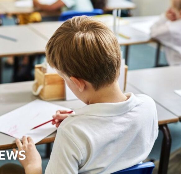 Special needs support in England faces ‘total collapse’, councils warn