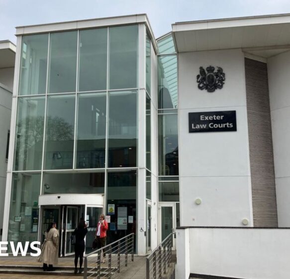 Man’s dog attacked girl during wake at Bideford pub