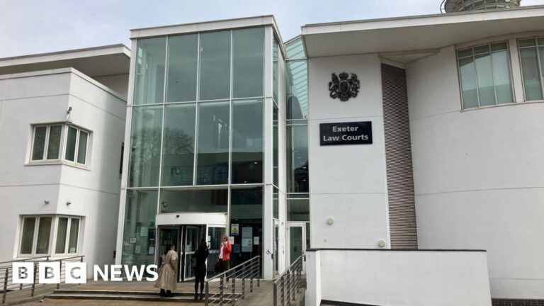 Read more about the article Man’s dog attacked girl during wake at Bideford pub