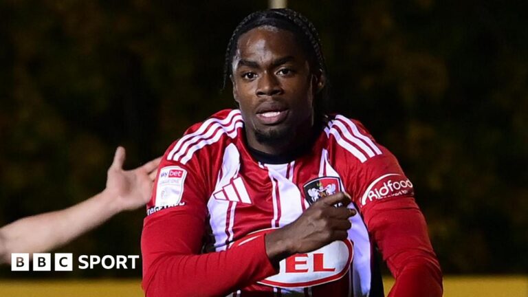 Read more about the article Akeel Higgins: Exeter City derby hero has ‘watched goal 100 times’