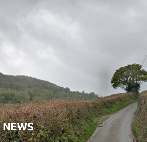 Pedestrian, 75, dies after Sidmouth crash