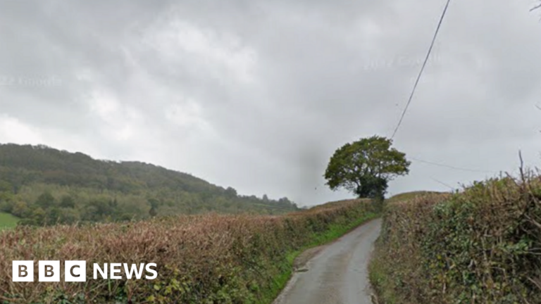 Read more about the article Pedestrian, 75, dies after Sidmouth crash