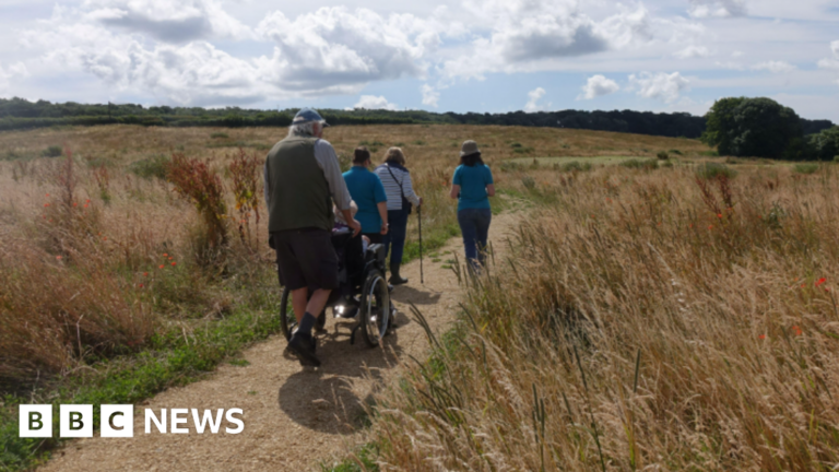 Read more about the article A new countryside site has opened at Wild Woodbury, Dorset