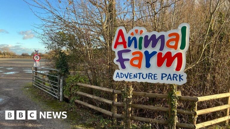 Read more about the article Animal Farm Adventure Park fire deaths leave owners ‘devastated’