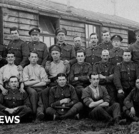 'Quest to identify soldier' and 'missing talking parrot'