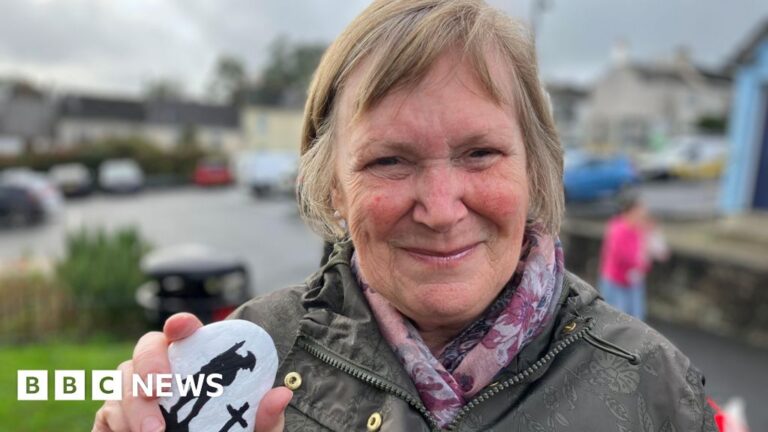 Read more about the article Restoration of Saltash pebble war memorial almost complete