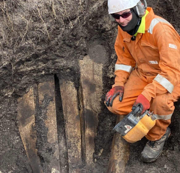 University experts feature on BBC podcast exploring the life and legacy of an ocean giant