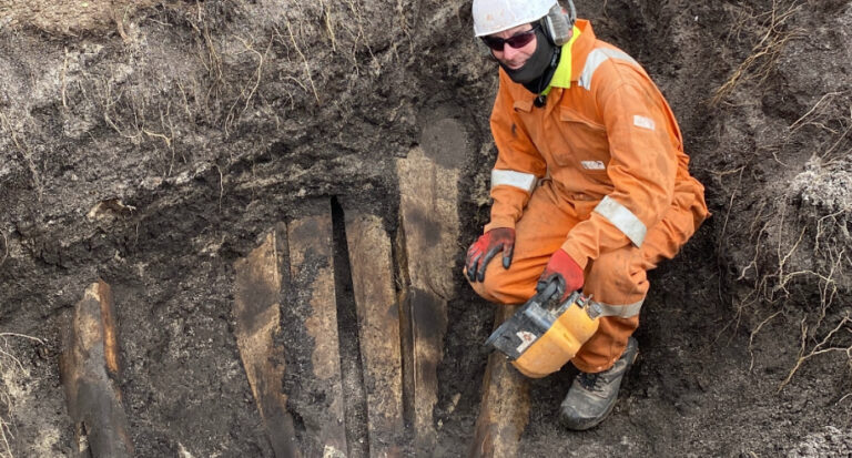 Read more about the article University experts feature on BBC podcast exploring the life and legacy of an ocean giant