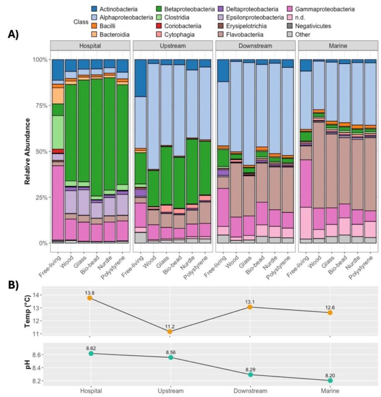 Read more about the article Microplastics pose a human health risk in more ways than one