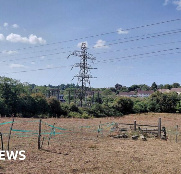 Frome battery site refusal overturned by government