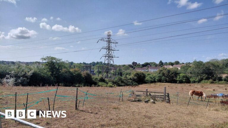 Read more about the article Frome battery site refusal overturned by government