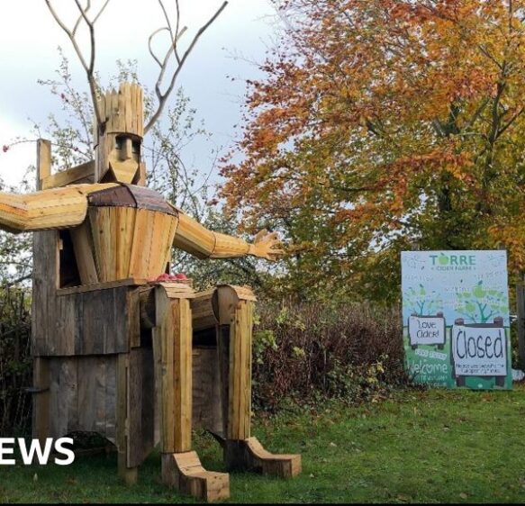 Centuries-old traditions revived to ‘bless’ Somerset orchard