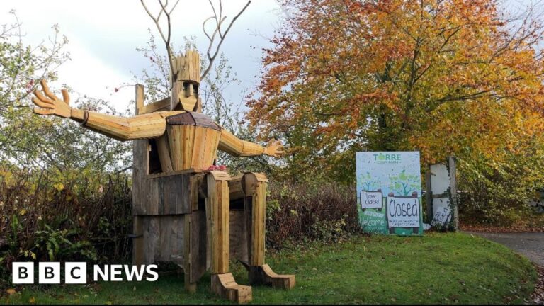 Read more about the article Centuries-old traditions revived to ‘bless’ Somerset orchard