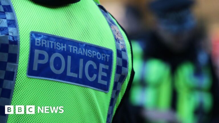 Read more about the article Teen arrested after Exeter railway station assault
