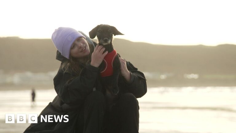 Read more about the article Barnstaple charity helping children cope with grief