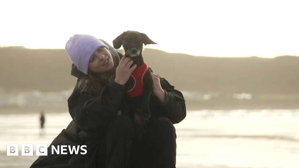 You are currently viewing Barnstaple charity helping children cope with grief