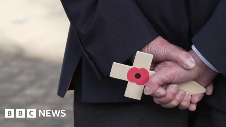 Read more about the article Remembrance Sunday services being held across Devon