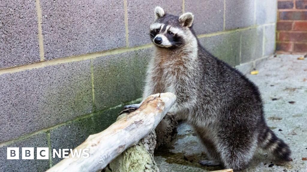 You are currently viewing Devon and Cornwall stories you may have missed