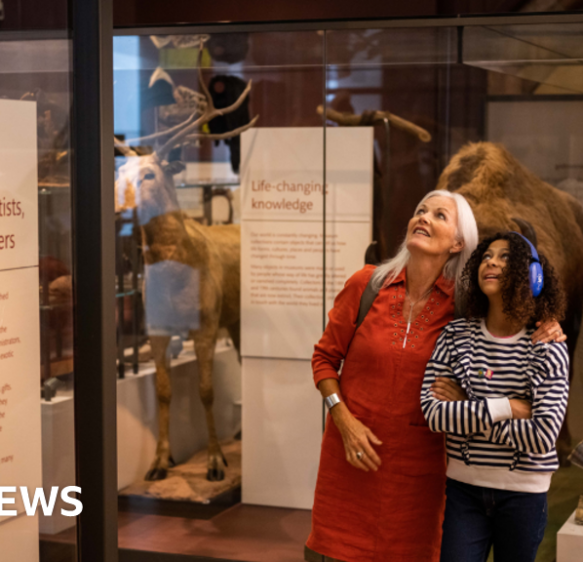 Exeter museum awarded for being ‘a space for everyone’