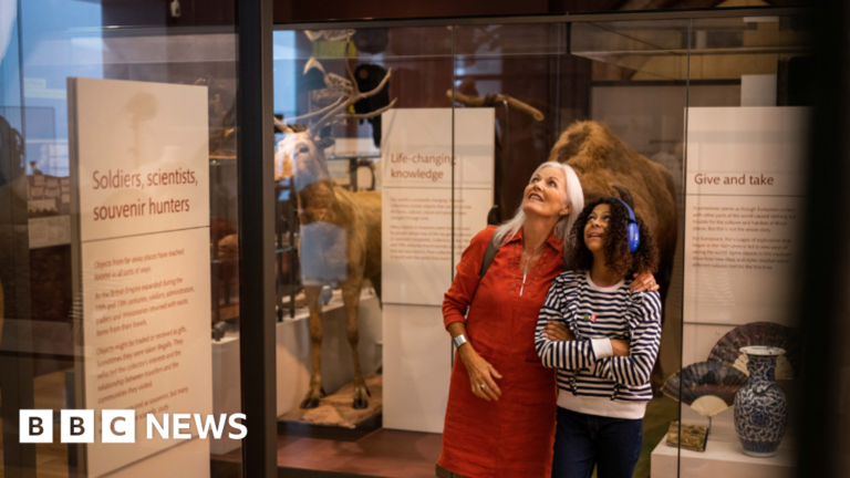 Read more about the article Exeter museum awarded for being ‘a space for everyone’