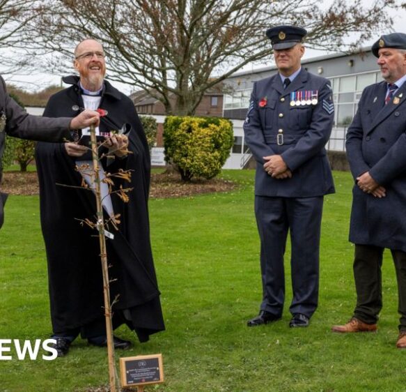 Oak tree planted in Cornwall to honour WW2 veterans