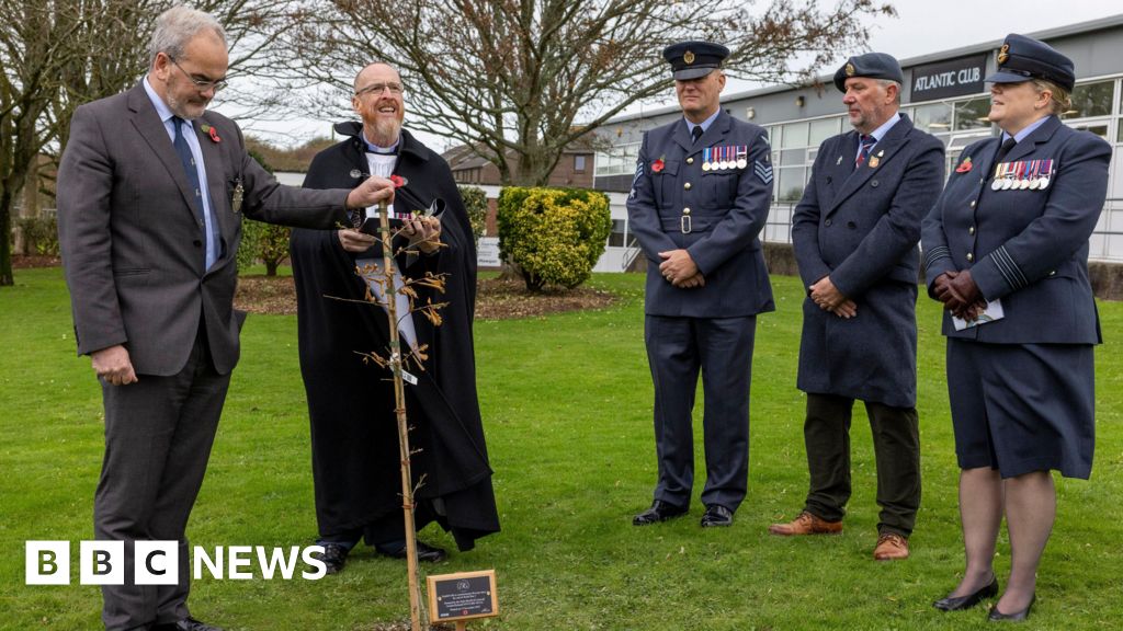 You are currently viewing Oak tree planted in Cornwall to honour WW2 veterans