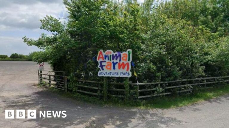 Read more about the article Fire destroys building at Somerset Animal Farm Adventure Park