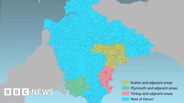 Read more about the article Warning of ‘chaos’ as Devon council carve-up row deepens