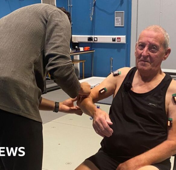 Devon project using online games to help stroke recovery