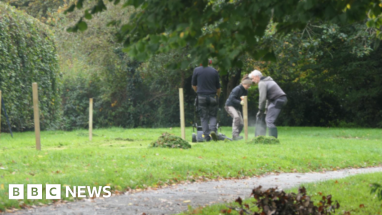 Read more about the article New ‘urban mini meadows’ created in Devon town