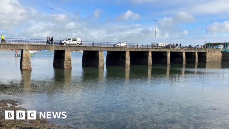 Read more about the article Businesses concerned over Ross Bridge closure
