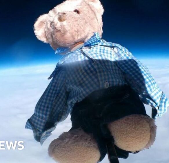 Five stories from the South you may have missed