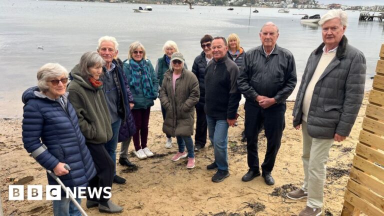 Read more about the article the fence dividing residents in Sandbanks