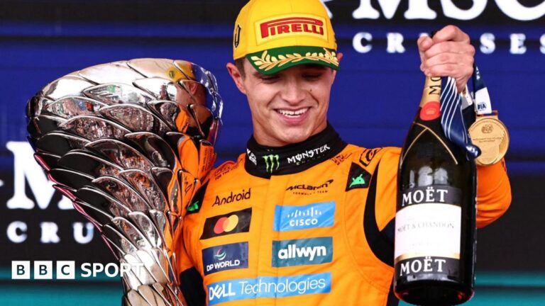 Read more about the article Sao Paulo Grand Prix result: Lando Norris wins with Max Verstappen third after starting in pits