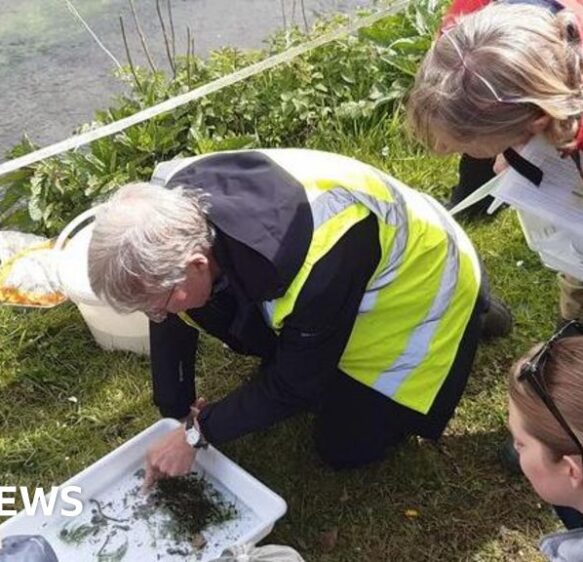 Citizen science tackles Dorset’s invisible river pollution