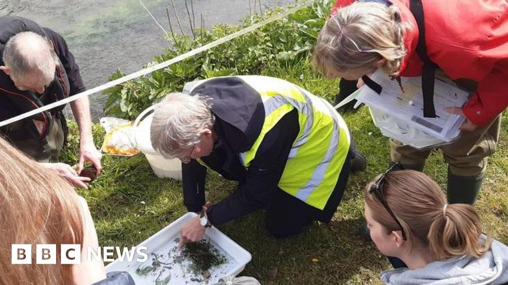 You are currently viewing Citizen science tackles Dorset’s invisible river pollution