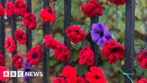 Read more about the article A look ahead to remembrance events across the South