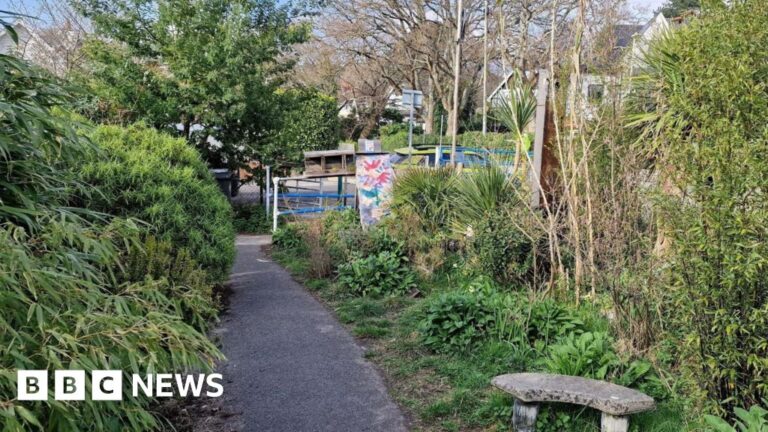 Read more about the article Eviction notice for man who created Poole ‘secret garden’