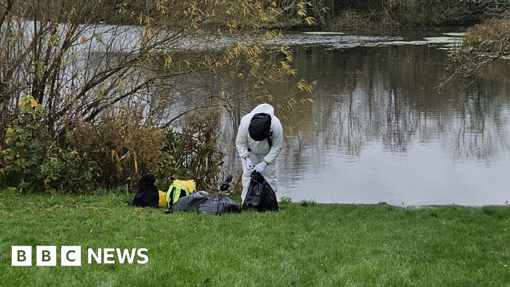 You are currently viewing ‘Bird flu outbreak’ as dead swans found near lake