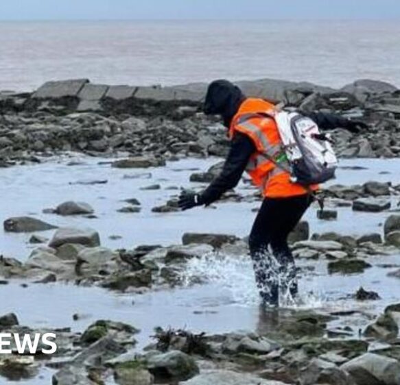Rock pooling competition held in Somerset to find rare species
